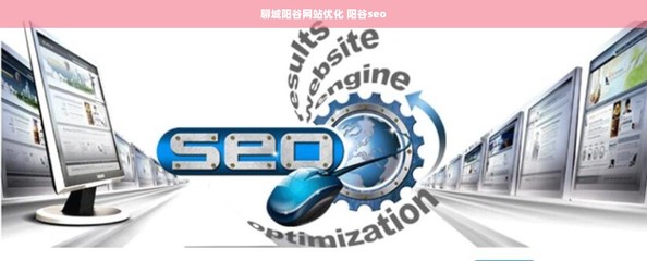聊城阳谷网站优化、SEO与计算机软件开发销售一体化服务解析